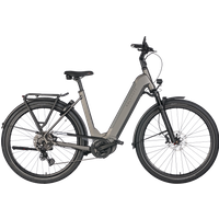 Kalkhoff Endeavour 5.B Advance+ 625 Wh Damen grau 2025