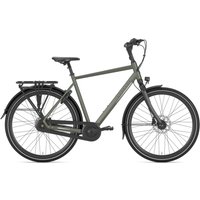 Gazelle Chamonix C8 clay green matte 28" Diamant