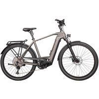 Hercules Futura Max I-12 silber-matt 28" 750 Wh Diamant